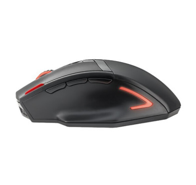 Souris Trust GXT130 WIRELESS GAMING MOUSE