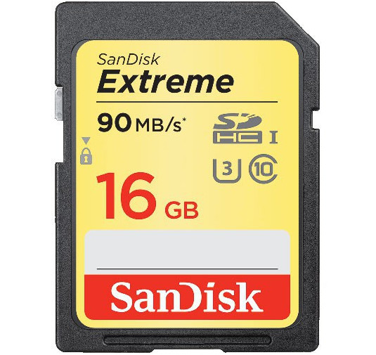 Flash Disque & Carte SD SanDisk SDSDXNE 016G GNCIN