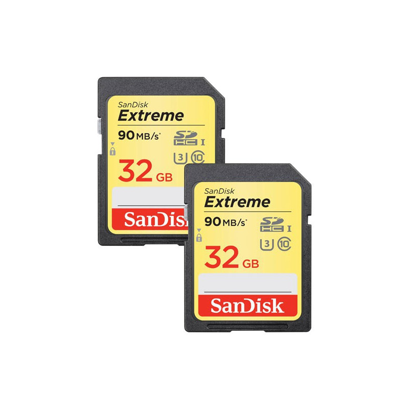 Flash Disque & Carte SD SanDisk SDSDXVE 032G CNCIN