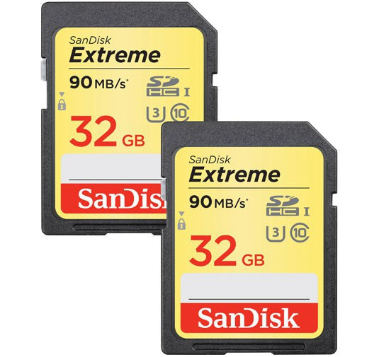 Flash Disque & Carte SD SanDisk SDSDXVE 032G CNCIN