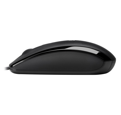 Souris hp X500 USB Noir