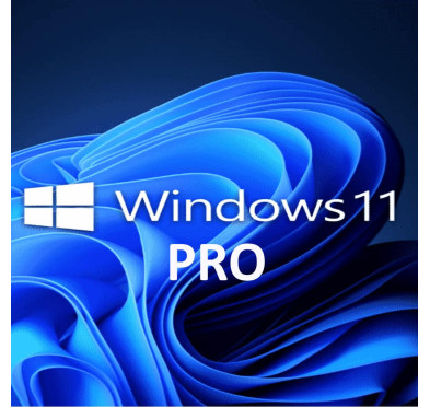 MICROSOFT WINDOWS 11 PROFESSIONNEL 64 BITS FR