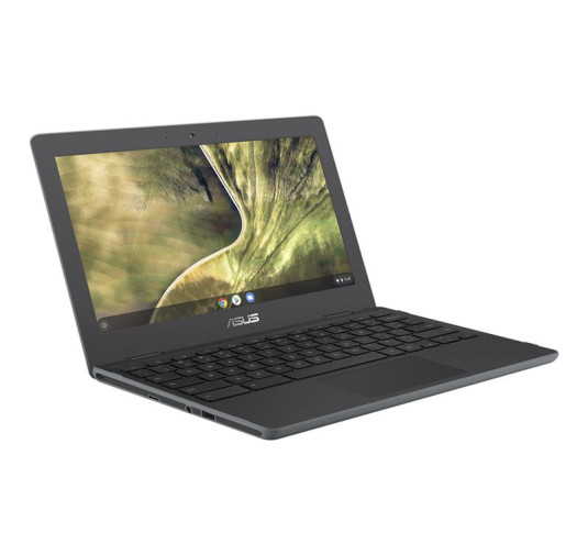 Pc Portable Asus Chromebook C204MA-GJ0203 N4020, 4Go, Ecran 11.6" HD