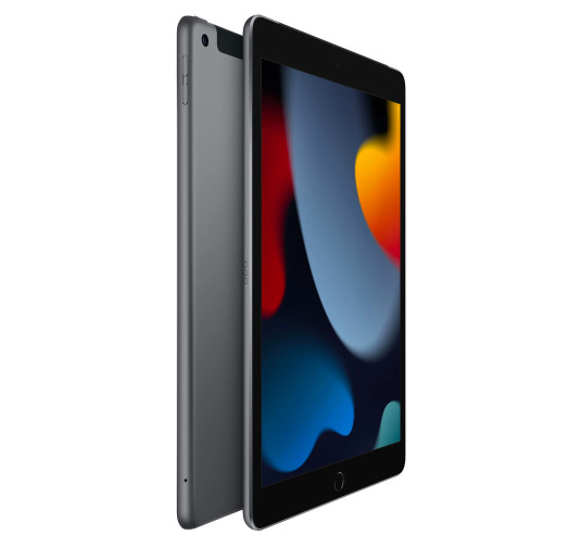 Tablette Apple iPad Wi-Fi + Cellular, 64Go, Ecran 10.2" Retina IPS -Gris sidéral