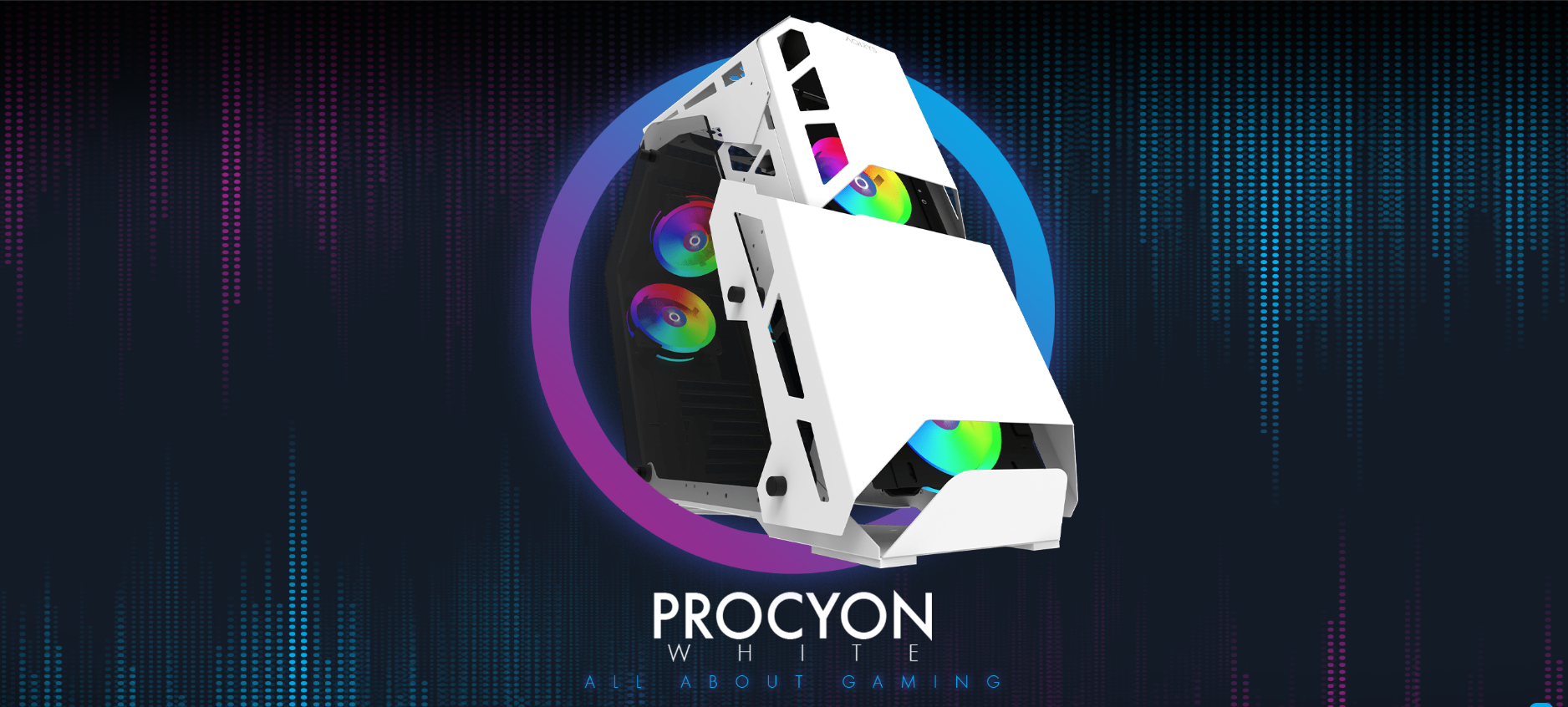 procyon white