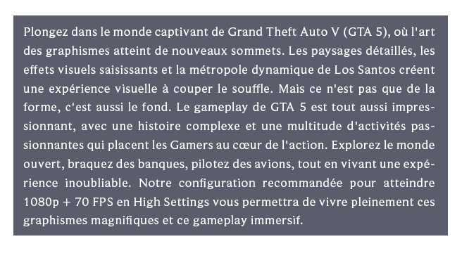 paragraphe GTA V pc sur mesure