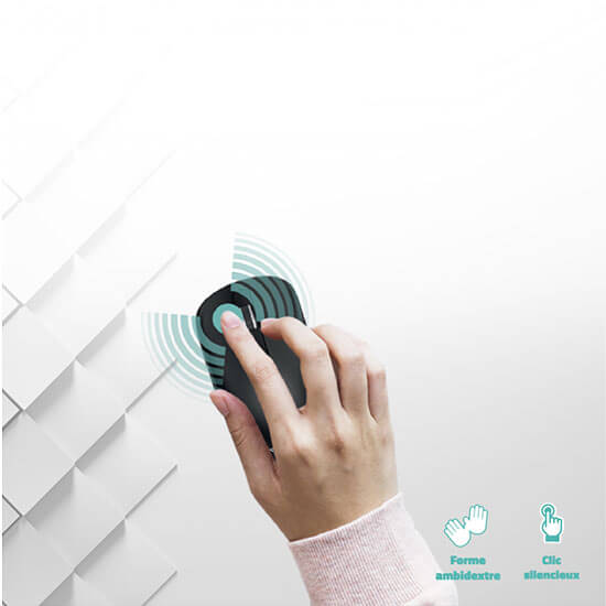 souris sans fil Advance workmate plus