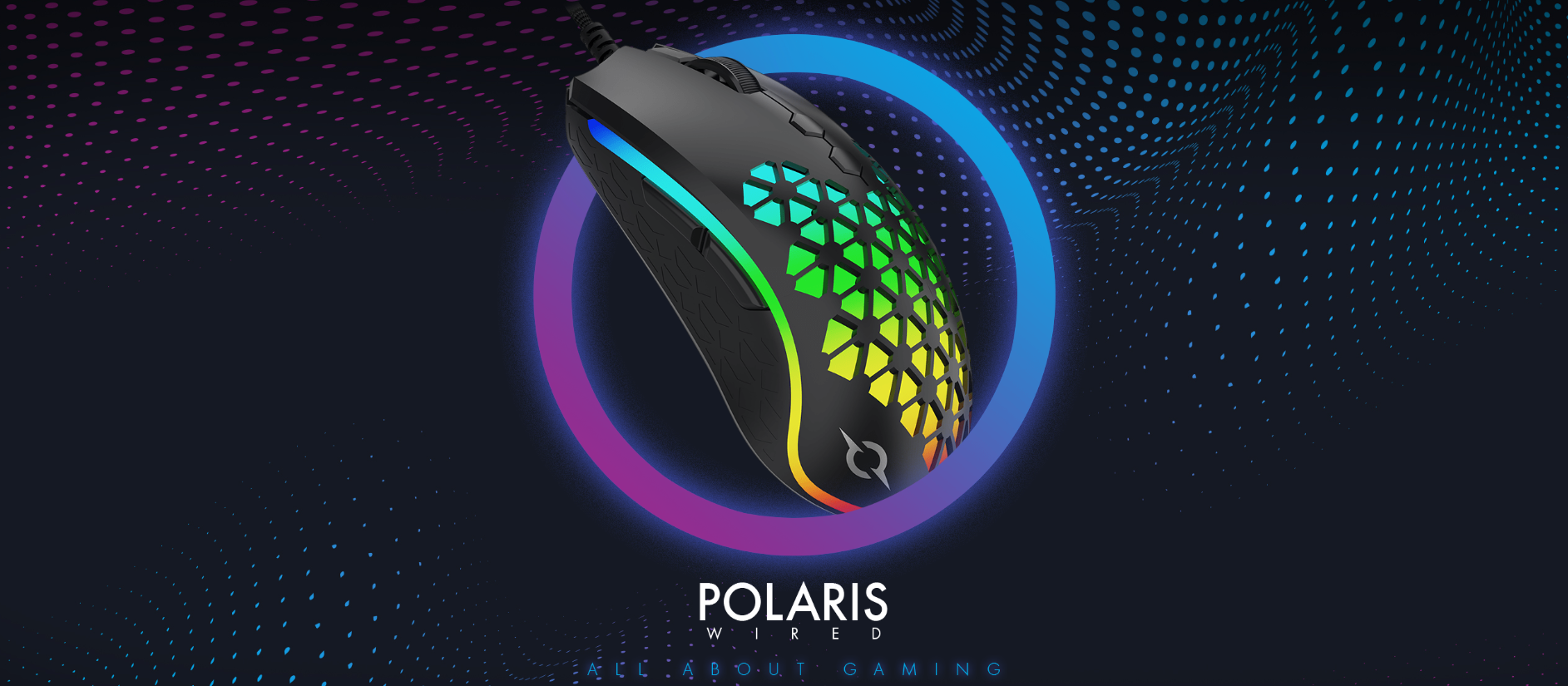 souris polaris