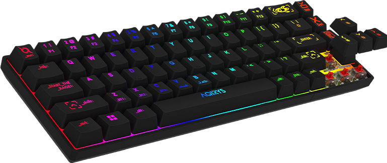 Clavier Gamer Mécanique AQIRYS ALUDRA TKL 100% Anti-ghosting RGB