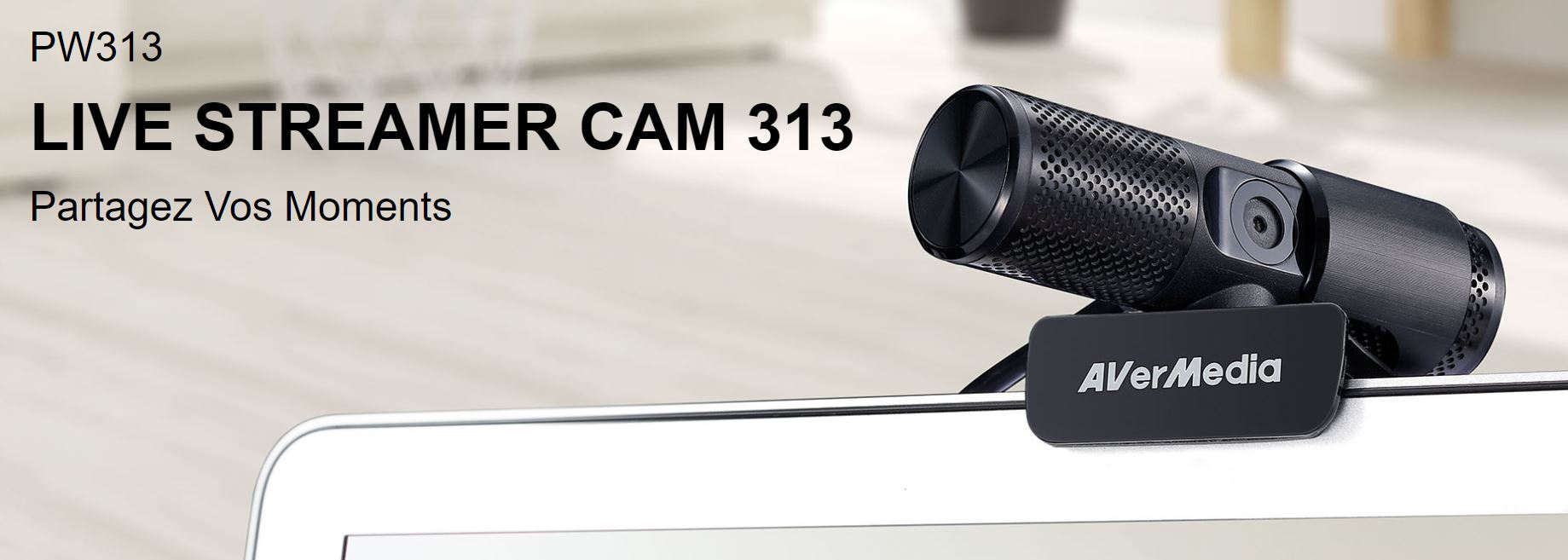 webcam AverMedia cam313 - 2