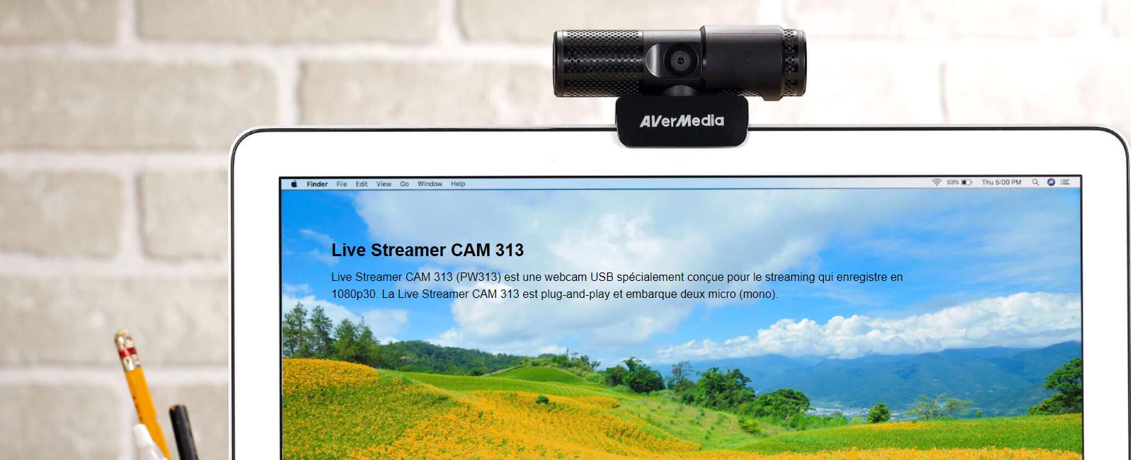 webcam AverMedia cam313 - 3