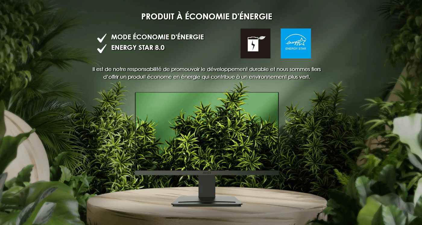 ecran pro msi MP223 E2 - économie d'energie